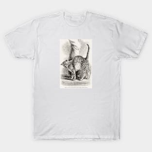 The cat in an affectionate frame of mind T-Shirt